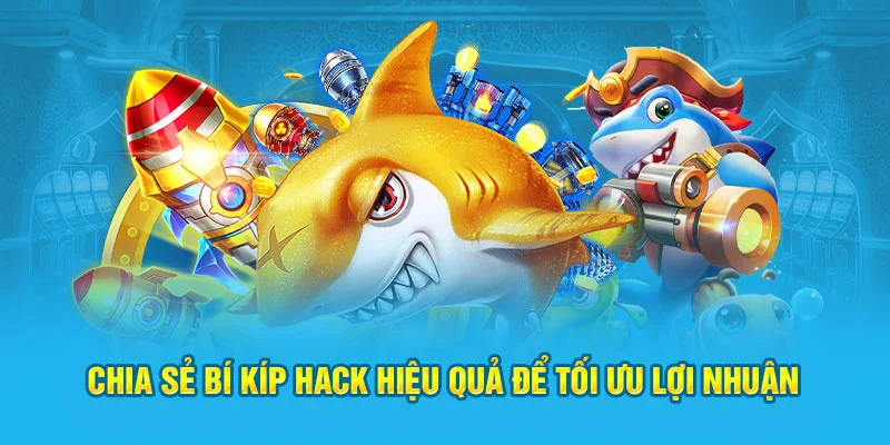 Chia sẻ bí kíp hack hiệu quả để tối ưu lợi nhuận